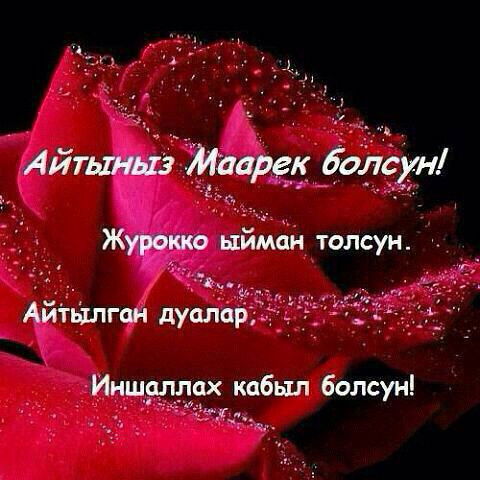 Венера Жороева