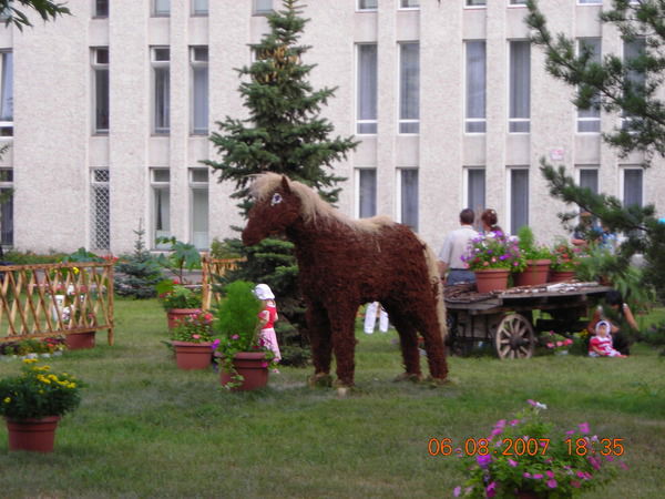 Евгений Кривошеев