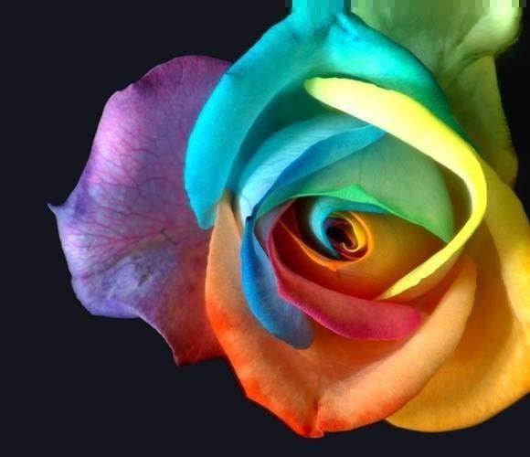 Раушан Чукурова