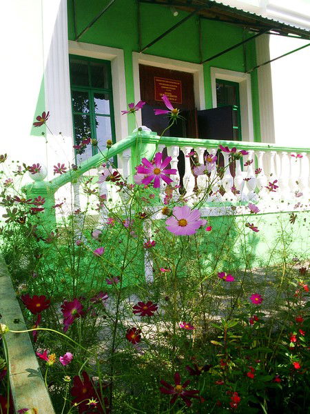 Ольга Эйсмонт