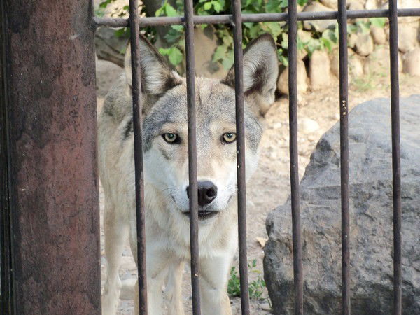 Виктор Попруженко