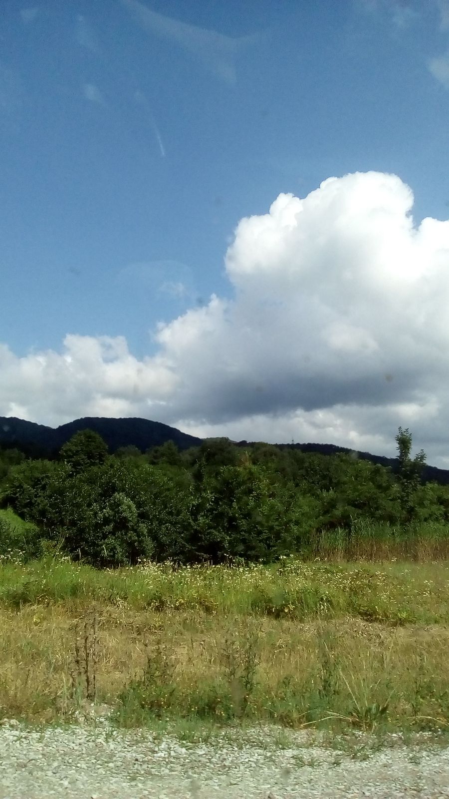 Елена Смирнова