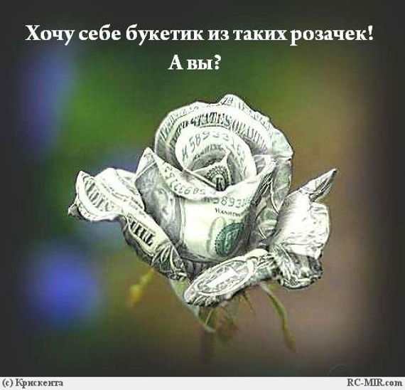 Лариса Шлыкова