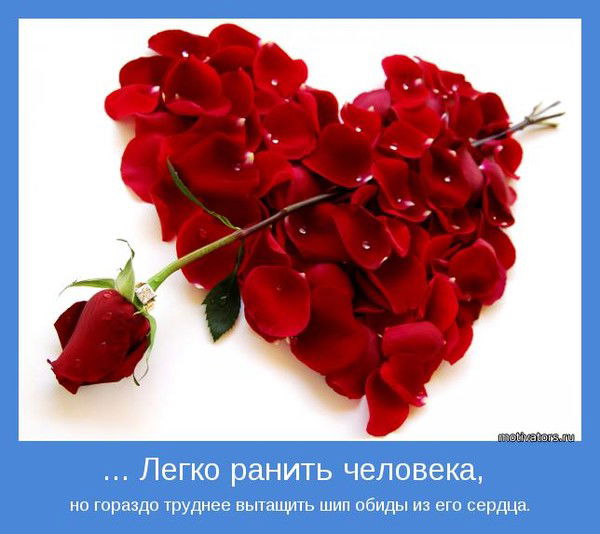 *shahnoza Dusalieva*