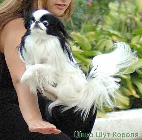 Людмила Желонина