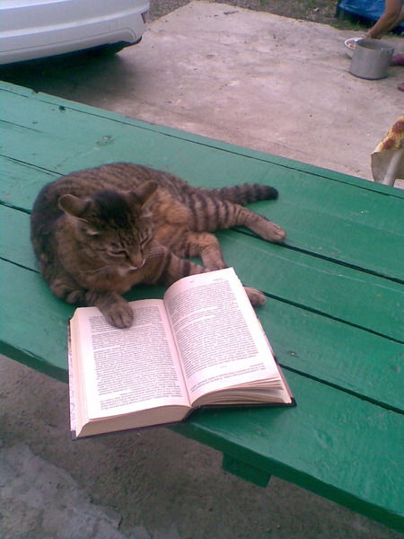 Владимир Карабак