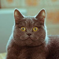 Таня Кукушкина