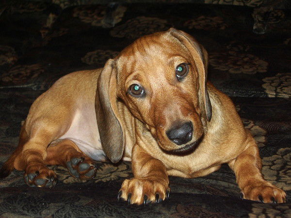 Сергей Ермолаев