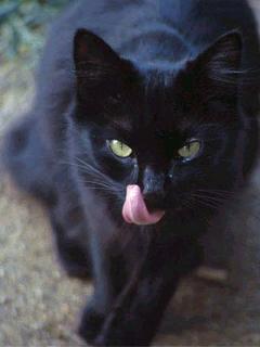 Алла Дорохина