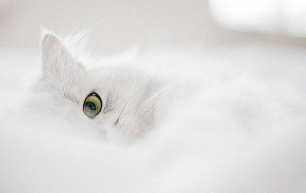 Наталья Воробьева