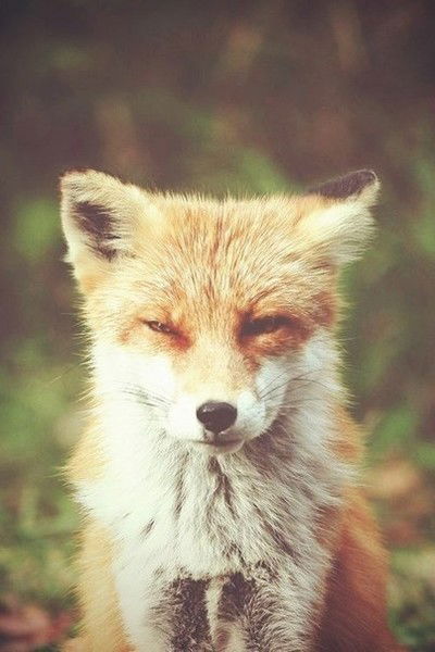 Настя Максимова