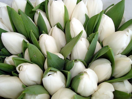 Олеся ................