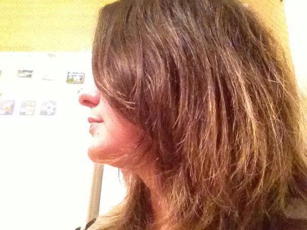 Елена Кульбашная