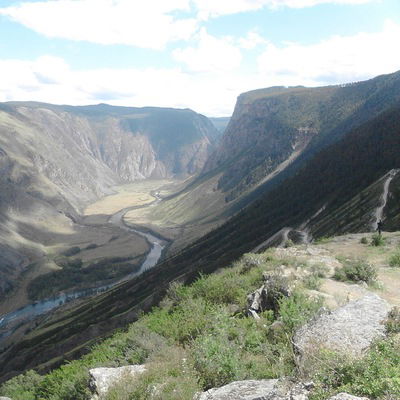 Александр Кривцов