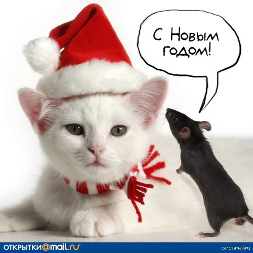 Александр ,,,,