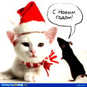 Александр ,,,,