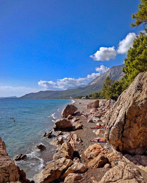 Шавкат Козиханов