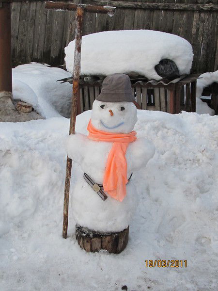 Тропи Тропи