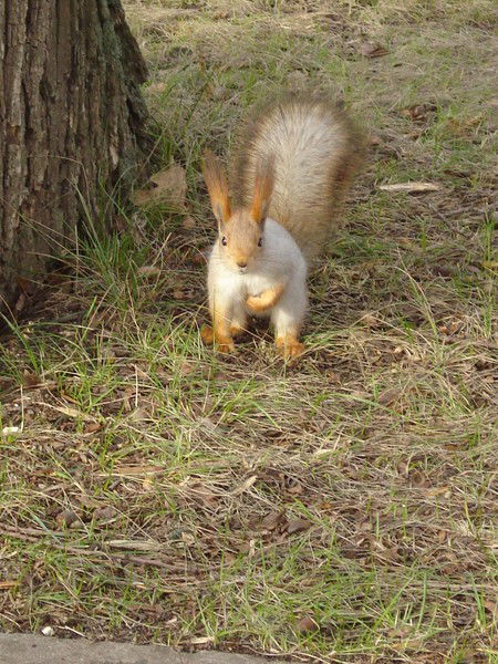 Марина Белай