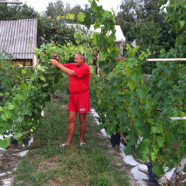 Виктор Корчагин