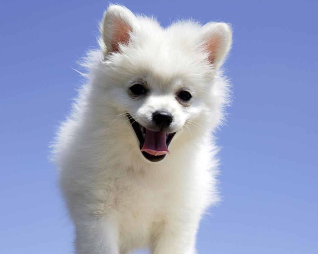 Богдан Тарасенко