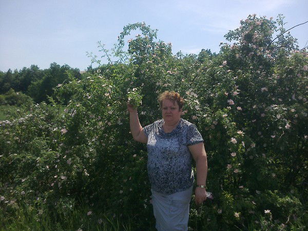 Зинаида Минаева