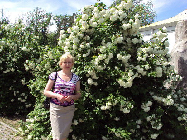 Алла Барсукова