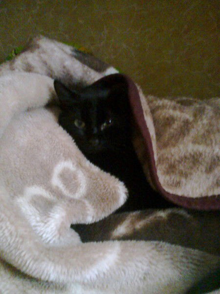 ~* Vl@d ^_^ Sm@il =) *~