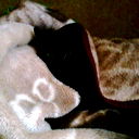 ~* Vl@d ^_^ Sm@il =) *~