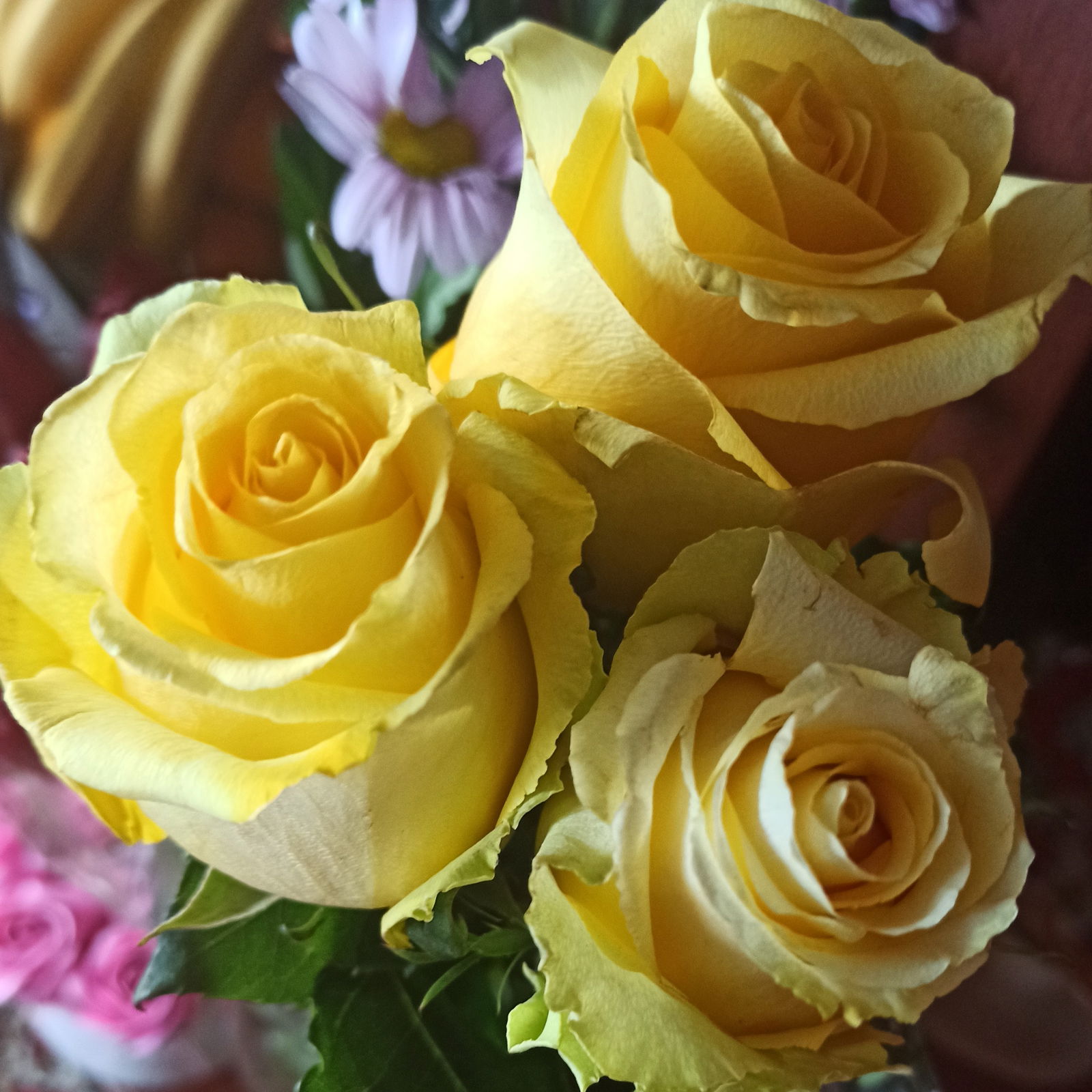 Галина Гузенко