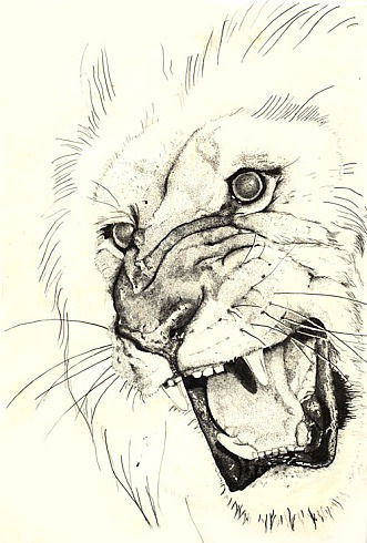 Виталий Кукушкин