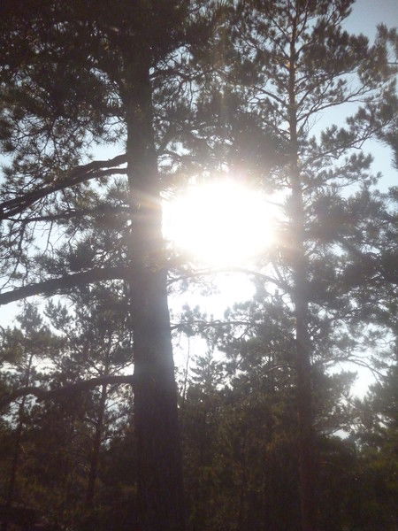 Айгуль ~~~~~~~