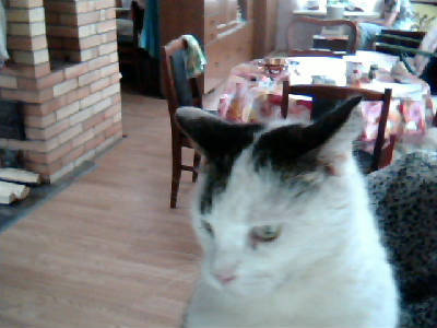 Валентина Яковлева