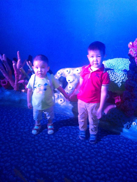 Акмарал Ильясова