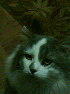 Владимир Турбал