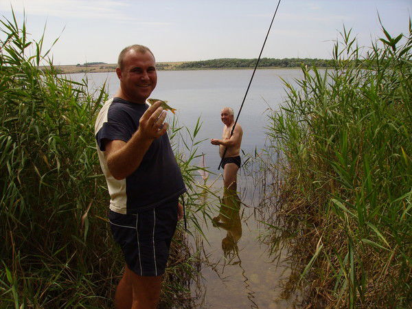 Алексей Могилёвцев
