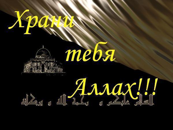 Жанар Касымова