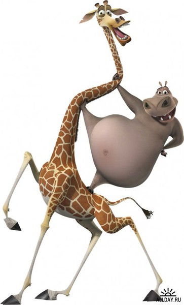 Галчонок Мурка