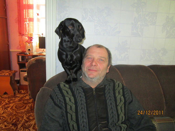 Дмитрий Гимиджеев