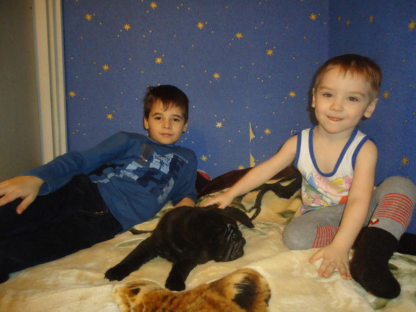 Александр Поспелов