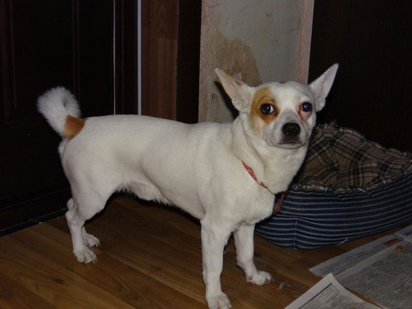 Катерина ...