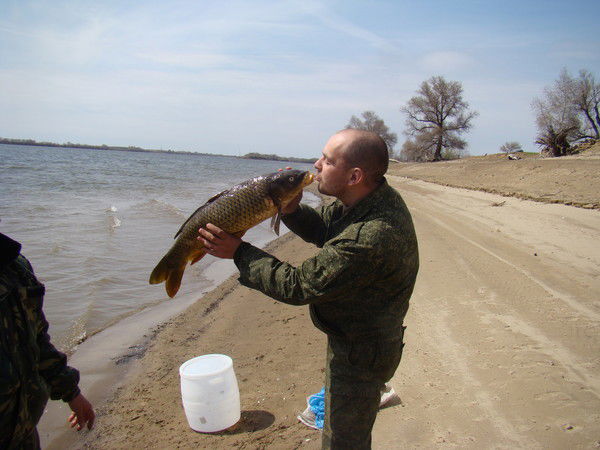 Ребко Павел