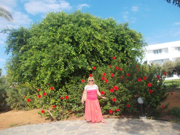 Елена Залевская