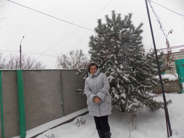 Анна Колесникова