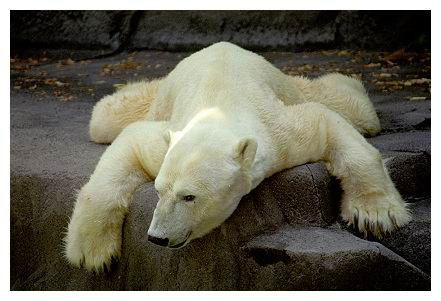 Олег Иванов