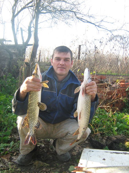 Андрей Чернявский