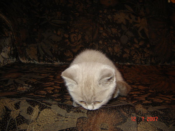 Цб7 Образование