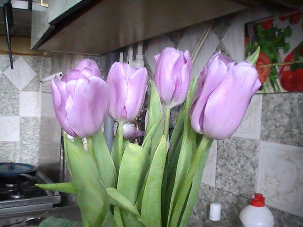 Виктор Гостищев