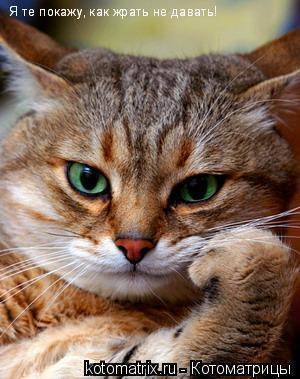 Валентина Кольцова (Дорош)