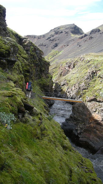 Елена Василевская